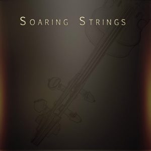 飞天弦乐！Musical Sampling Soaring Strings KONTAKT | 超级编曲家